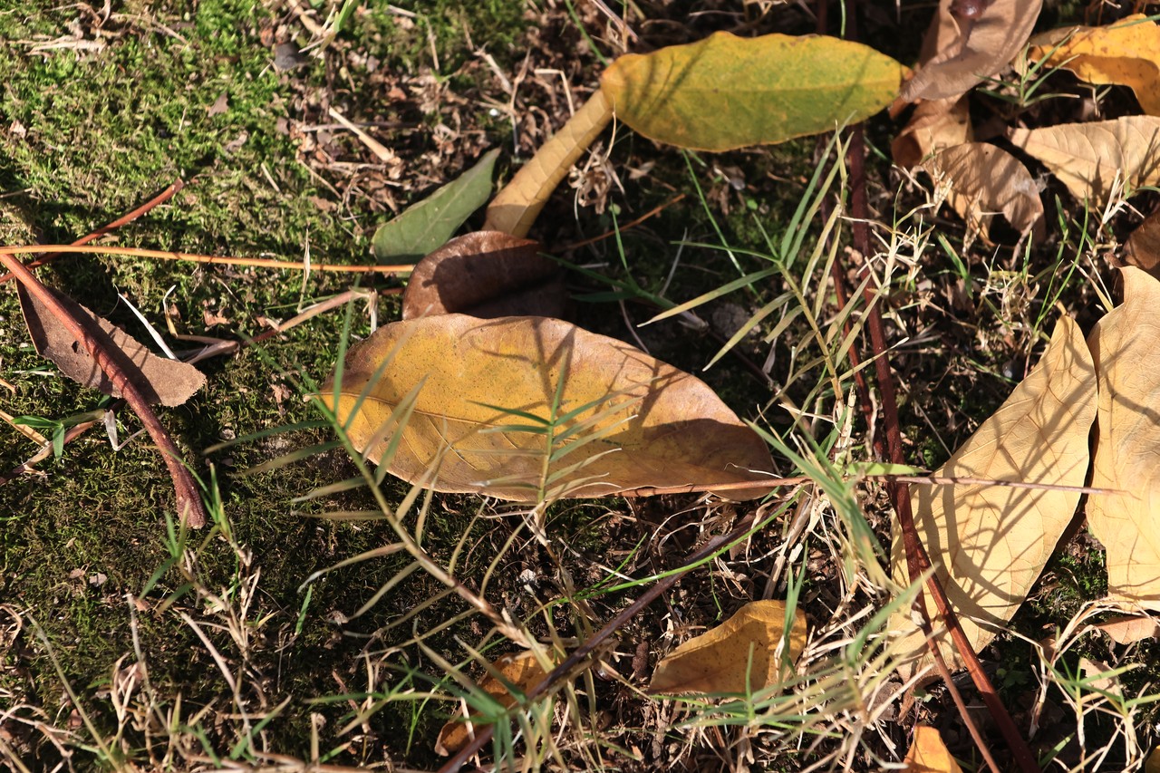 劳动实践 的照片