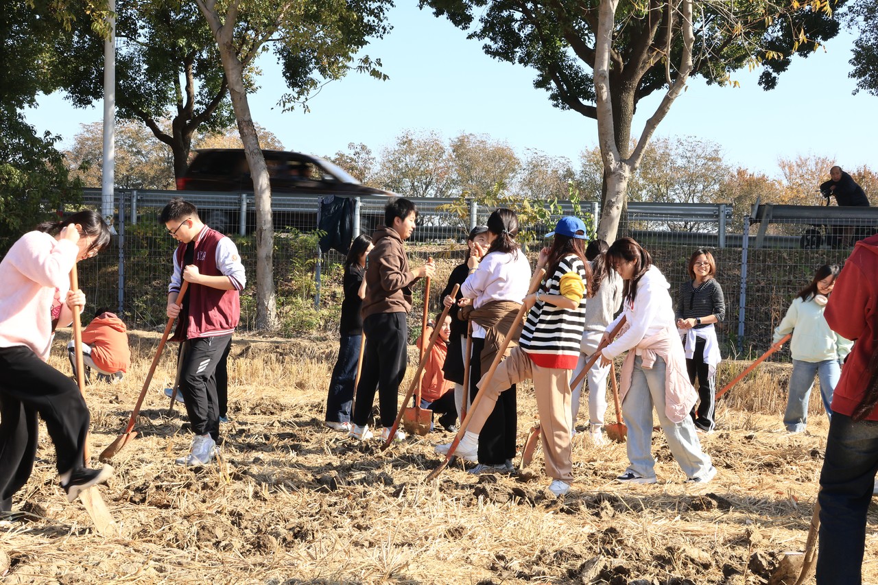 劳动实践 的照片