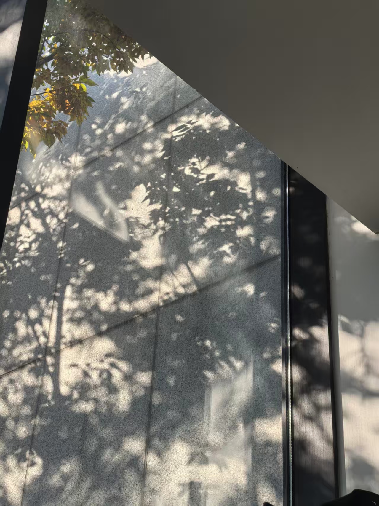 苏州的秋天 的照片