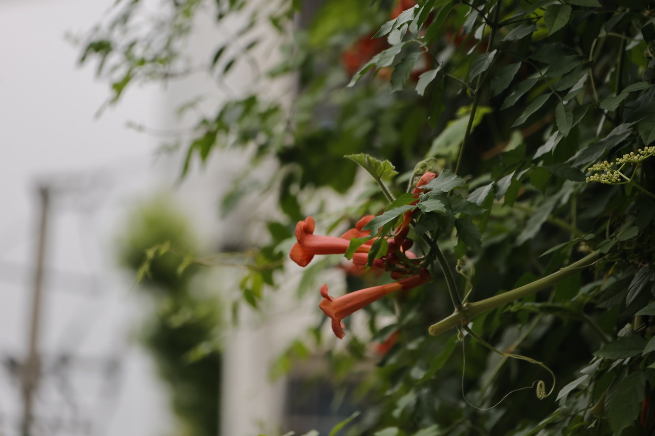 苏州革命博物馆